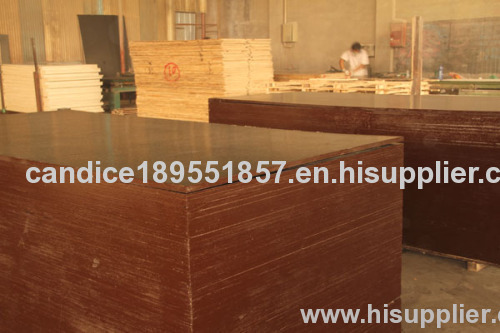 brown construction wood plywood 1220*2440*18mm