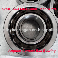 High Precision Angular Contact Ball Bearing 7313B