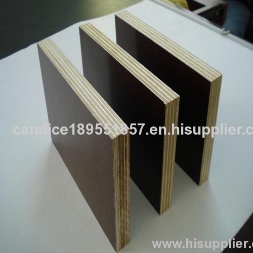 China hot selling brown 18mm marine plywood
