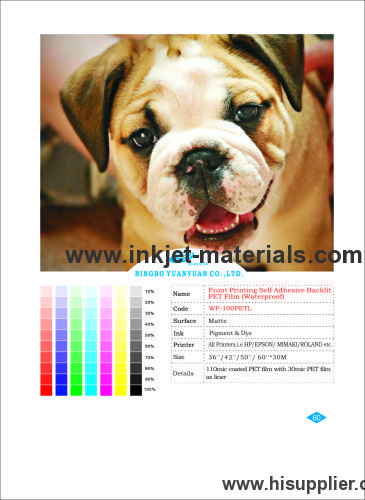 Front Printing Self Adhesive Backlit PET Film