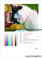 110mic Non-waterproof Transparent PET Film