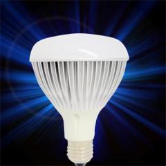 Led bulb light - BR style light