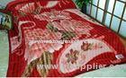 Double Printed 100% Polyester Blanket , 2 Ply Blanket For Home