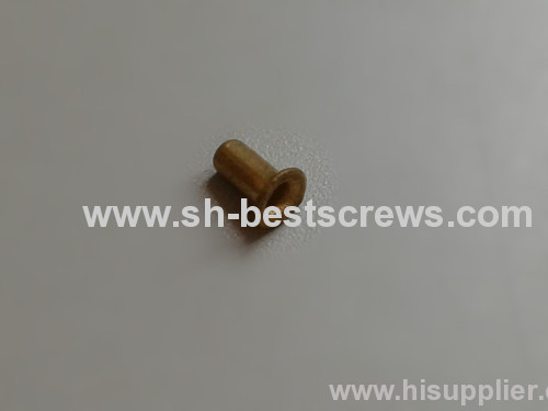 Cooper tubular rivet special fasteners