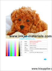 Golden Glossy PET Film