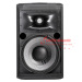 12" Two-Way Floor Monitor Speaker STX-12M