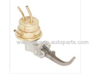 Mechanical Fuel Pump TP603