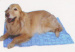 Pet mat for pets