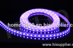 UV purple led strip