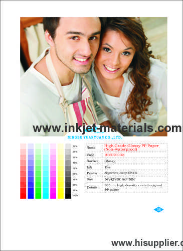 185mic high density coated original PP Paper