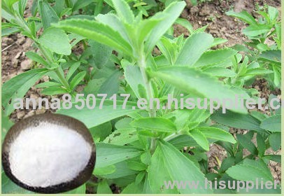 Stevia Sugar White powder