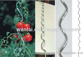 Tomato spiral stakes/Tomato spiral stakes