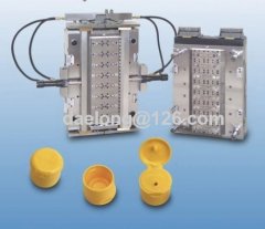 flip top cap mould