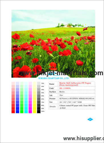 120mic Matte Self Adhesive PP Paper