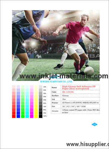 120mic Glossy Self Adhesive PP Paper