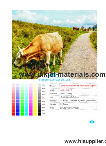 Semi-Glossy Poster Blue Back Paper