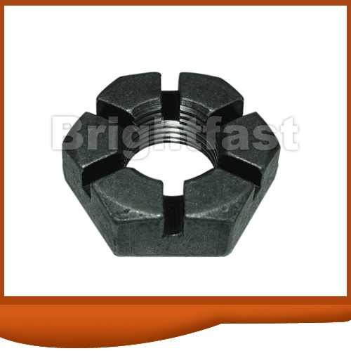 Slotted Nuts Slotted Hex Nut