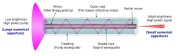 FBGs used in fiber lasers