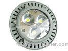Cool / Warm / Pure White Aluminum Alloy Outdoor LED Light