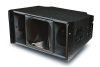 dual 10 inch line array speaker