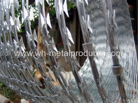 razor wire security fence