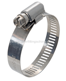 Chemical IndustryStainless Steel Hose Clamp