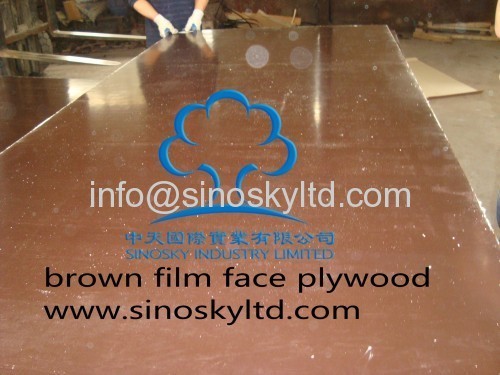 Brown Film Face Plywood