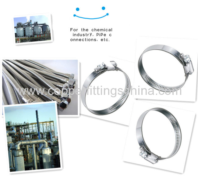 Chemical IndustryStainless Steel Hose Clamp