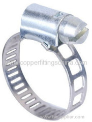 Zhejiang American Type Hose Clamp