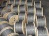 Dia 6mm 304 ASTM Galvanized Steel Wire Rope , 1*19 1570MPA - 1960MPA