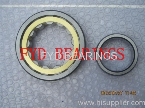 fyd cylindrical roller bearings NU310EM 50mmX110mmX27mm