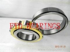 N330E 150 mm ×320 mm ×65mm FYD cylindrical roller bearing N317E,N318E,N319E,N320E,N321E,N322E