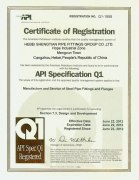 API Q1