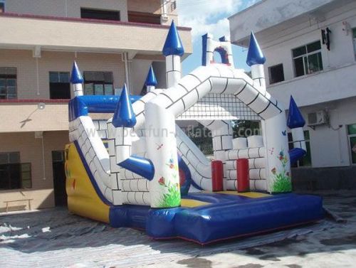 Backyard Inflatable Castle And Slide