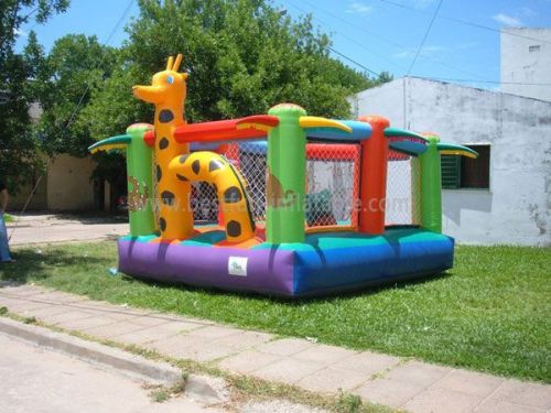 Giraffe Inflatable Indoor Bouncer