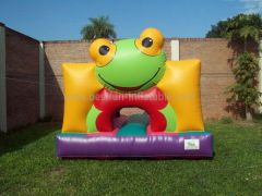 Toddler Frog Inflatable Bounce House