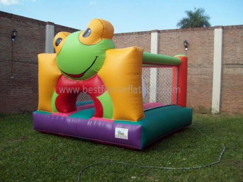 Toddler Frog Inflatable Bounce House