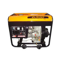 Garden CE diesel generator