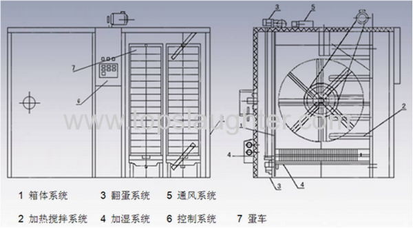 Chicken farming equipment Chicken hatchery