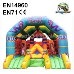 Inflatable Party Bouncers For Sale