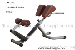 Back Extension DHZ 825 fitness equipment