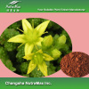 GMP Standard Epimedium Extract