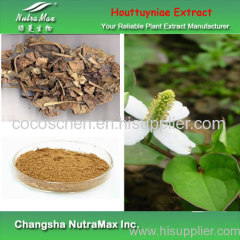 100% Natural Houttuyniae Extract 10:1