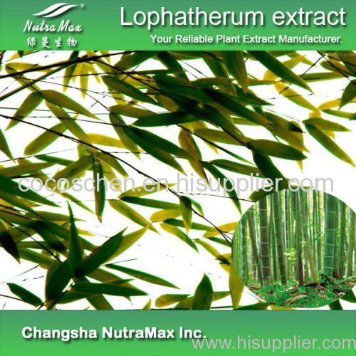GMP Standard Lophatherum extract