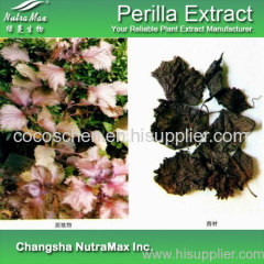GMP Standard Perilla Extract