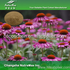 Echinacea Purpurea Extract powder
