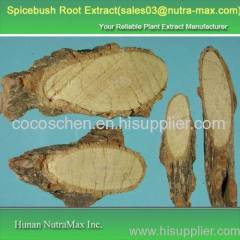 100% Natural combined spicebush root extract 10:1