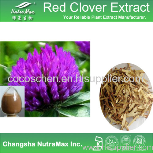 100% Natural Red Clover Extract 8%,20%,40%,60% Isoflavones
