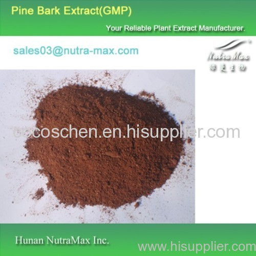 100% Natural Pine Bark Extract 95%-98% proanthocyanidins