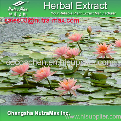 100% Natural Pygmy waterlily extract 8:1,10:1,12:1